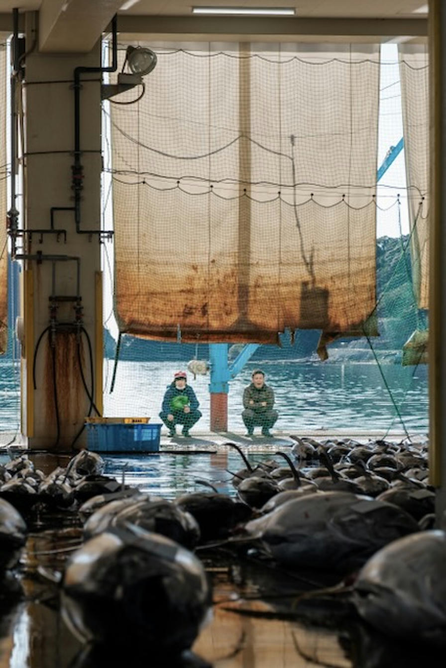Fishing port in Japan