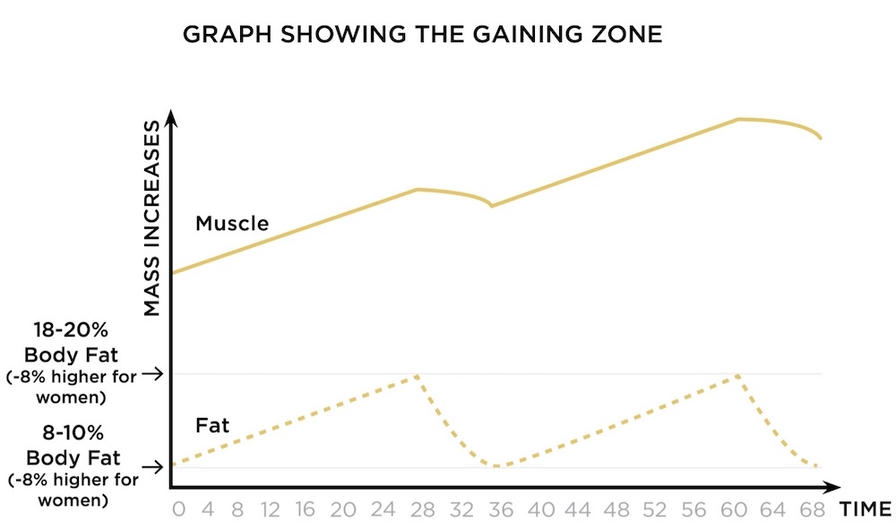 Graph showing the gaining zone for body recomposition